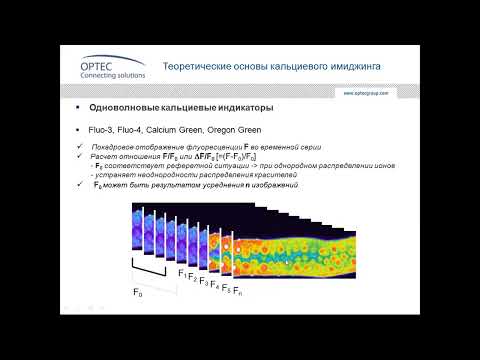 Видео: Вебинар «Кальциевый имиджинг в конфокальной микроскопии», часть 2