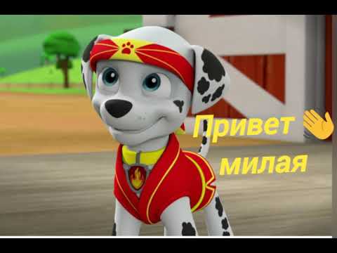 Видео: комикс щенячий патруль любовь