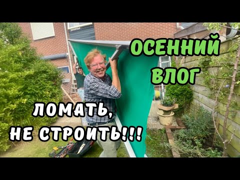 Видео: Приехала вся ГОЛЛАНДСКАЯ СЕМЬЯ | Разобрали сломанный навес | Субботний рынок | Рождественский ACTION