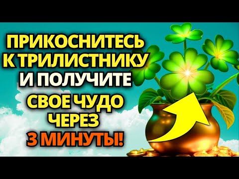 Видео: 🔴 ВАШЕ ЧУДО СВЕРШИЛОСЬ! БОГ СДЕЛАЕТ ТЕБЯ БОГАТЫМ, ЕСЛИ ТЫ ПОСЛУШАЕШЬ! 🎁 ЗВОНИТЕ И ПОЛУЧАЙТЕ!