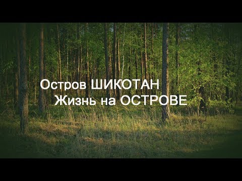 Видео: ОСТРОВ ШИКОТАН. СОПКИ//ЛЕС//СОЛНЦЕ\\ВНЕЗАПНЫЙ ТУМАН\\БОЛТАЮ