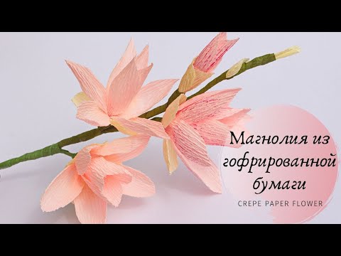 Видео: Магнолия из гофрированной бумаги / DIY / Crepe paper flower Magnolia