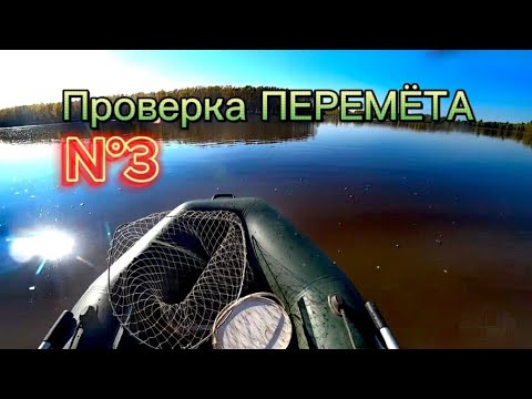 Видео: Проверка ПЕРЕМЁТА N°3