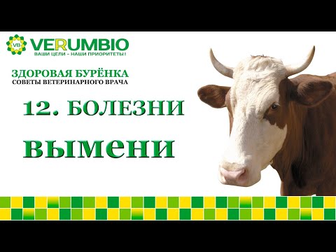 Видео: Болезни вымени