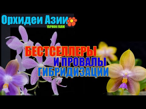 Видео: Сорта-шедевры, и сорта-уроды. Так бывает