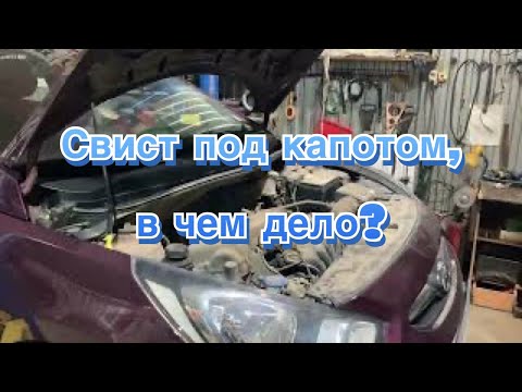 Видео: Свист под капотом, в чем дело? Ответ в ролике!