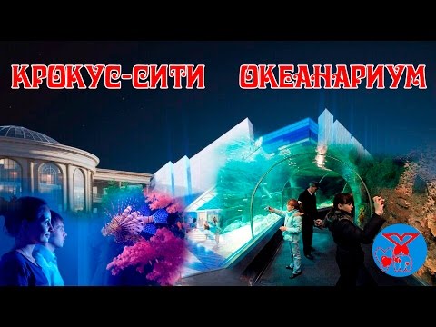 Видео: Новинка-2016! Океанариум в Крокус-Сити декабрь 2016!