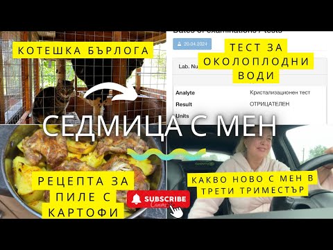 Видео: Изтичане на околоплодни води? | Рецепта пиле с картофи | Оранжерия | Какво си купих? | Влог № 7