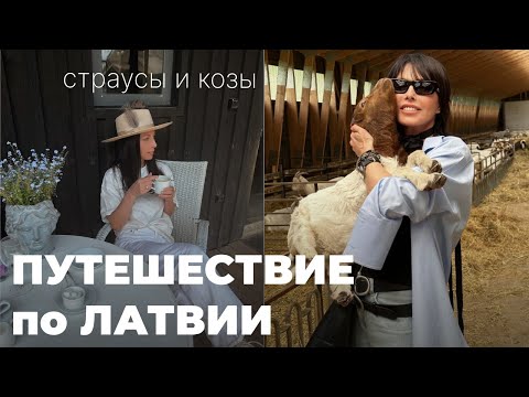 Видео: ПУТЕШЕСТВИЕ ПО ЛАТВИИ | Ферма страусов и коз | Музей под открытым небом Pedvale