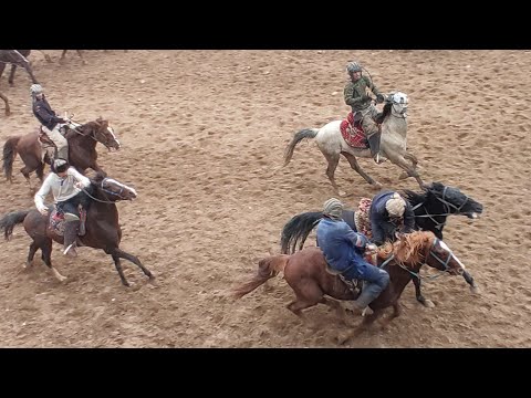 Видео: УЛОК ЯНГИ КИШЛОК РЕГАР