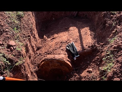 Видео: 29 сентября 2025 г. С трудом погрузил его в прицеп. Какую прибыль получил?