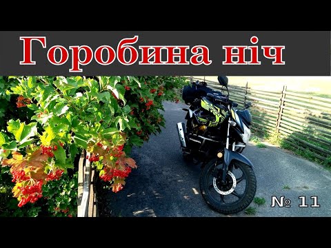 Видео: Горобина ніч - мотодальнячок
