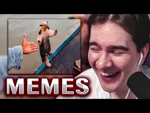 Видео: БРАТИШКИН СМОТРИТ UNUSUAL MEMES COMPILATION V332