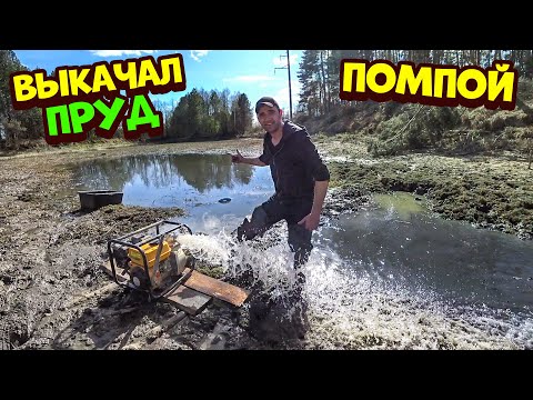 Видео: Выкачал пруд помпой! Ловлю рыбу руками. Бобба вытянул бобра с норы.