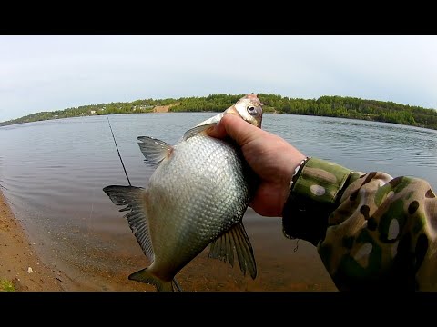 Видео: ЛОВЛЯ ЛЕЩА В МАЕ НА ПЕНОПЛАСТ.РЫБАЛКА НА верхней ВОЛГЕ.