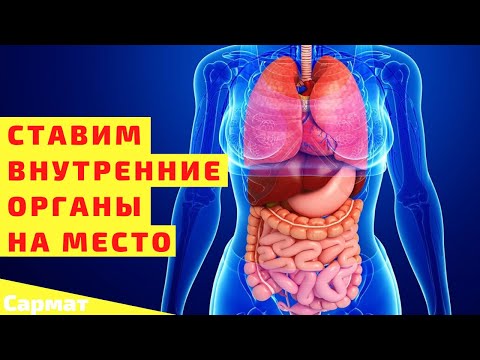 Видео: Ставим внутренние органы на место - Простое и очень мощное упражнение