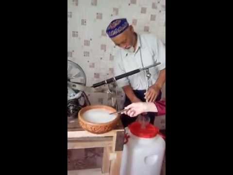 Видео: Қымыз пісу технологиясы