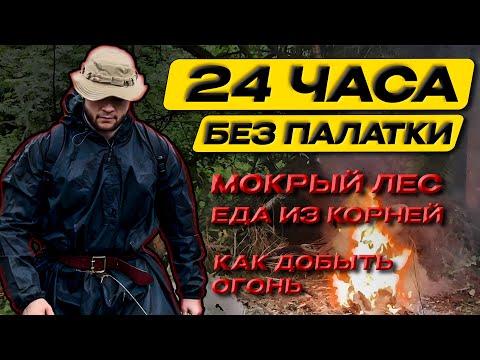 Видео: Как ВЫЖИТЬ в Мокром Лесу? Ем корни, развожу огонь, чищу зубы