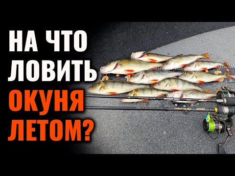 Видео: Окунь на озере летом. На что клюёт?