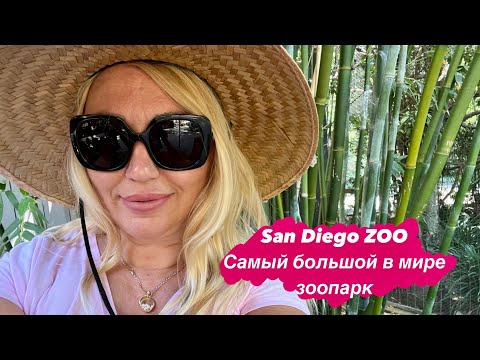 Видео: San Diego. Самый большой в мире зоопарк.