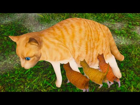 Видео: Приют для Кошек и Собак Пурумчата #4 Кот сломал лапку. Симулятор кошки Animal Shelter с Кидом