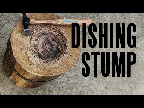 Видео: Учебное пособие по обработке пней (+ обзор безщеточных ножниц)