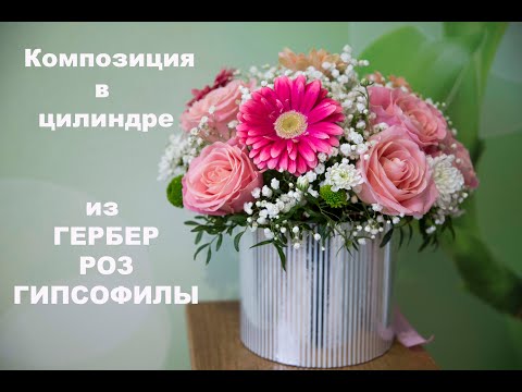 Видео: КОМПОЗИЦИЯ в ЦИЛИНДРЕ из ГЕРБЕР РОЗ и ГИПСОФИЛЫ