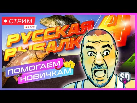 Видео: Русская рыбалка 4  В Гостях у Сеньки. Шутим шутки.🤪Помогаем новичкам!