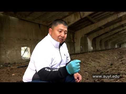 Видео: 3-САБАҚ 8-БӨЛІМ. ДАЙЫН БОЛҒАН БИОГУМУСТЫ ҚАЛАЙ АНЫҚТАЙМЫЗ?