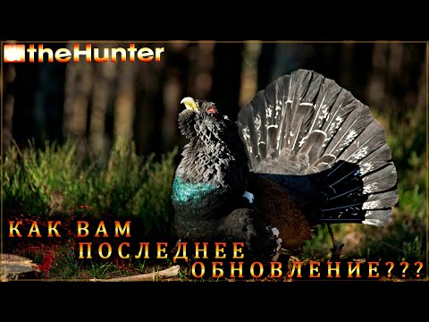 Видео: ♢ theHunter Classic ♢ Глухарь ♢ Спустя 14 дней ♢