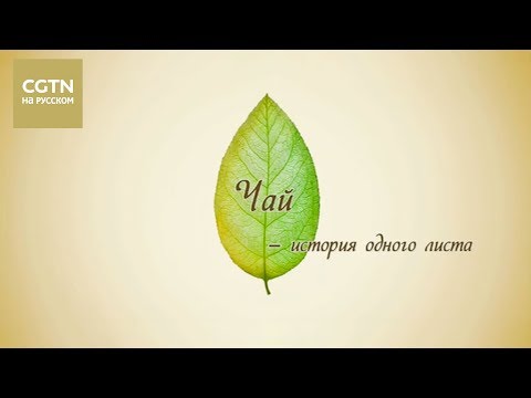 Видео: Чай - история одного листа Серия 3 Заваривание чая Часть 1[Age0+]