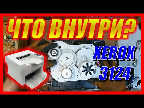 Видео: Вскрытие лазерного чб принтера Xerox Phaser 3124 - разбор на запчасти | Фьюзер печка шаговик плата