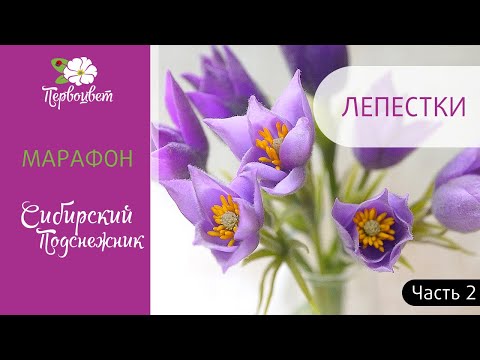 Видео: Сибирский подснежник из холодного фарфора. Лепим лепестки