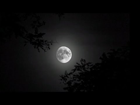 Видео: В ДОМЕ У ВРАГА РАЗРУШЕНИЯ И НИЩЕТА 