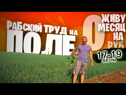 Видео: Сколько ПЛАТЯТ на ПОЛЯХ 🌱😱 Бомж Выживание МЕСЯЦ НА 0 РУБЛЕЙ Дни 17 - 19