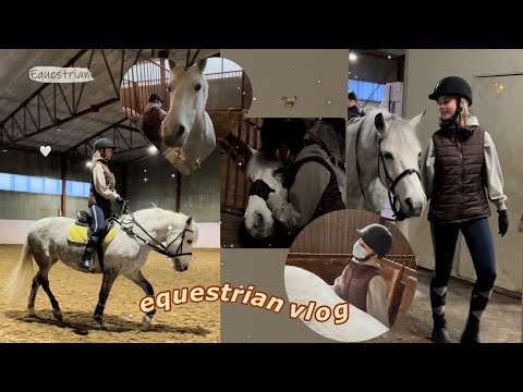 Видео: ПЕРВАЯ конная тренировка//equestrian vlog|конный спорт 🐎🤍#equestrian #перваятренировка #конныйвлог