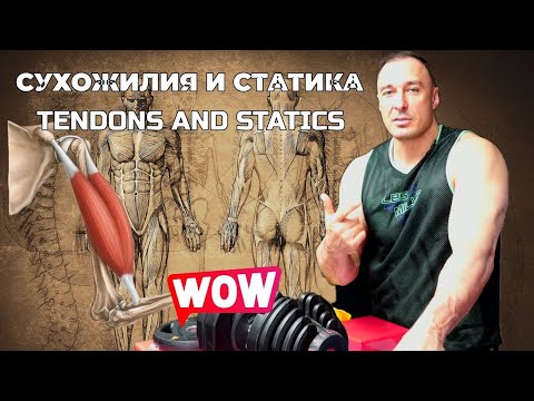 Видео: СУХОЖИЛИЯ И СТАТИКА!TENDONS AND STATIC!