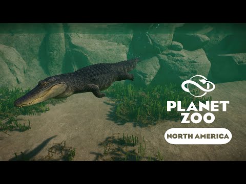 Видео: Planet Zoo: North America - Миссисипский аллигатор