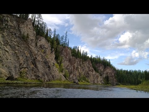 Видео: Нахлыст. Рыбалка на любимой реке. Часть 2. Fly fishing. Fishing on your favorite river. Part 2