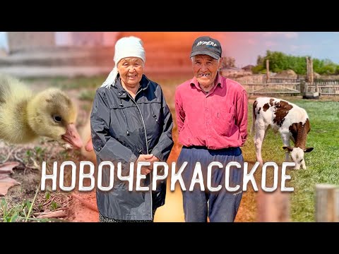 Видео: Новочеркасское. Перезагрузка для головы #казахстан #жизнь