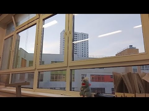 Видео: Teacher's vlog /Влог учителя/ Начало рабочей неделей #youtube #works #teachersday 