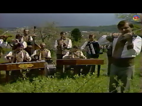 Видео: Народний самодіяльний оркестр народних інструментів міста Косова