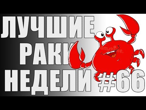 Видео: ЛРН выпуск №66. САМЫЙ РАКООБРАЗНЫЙ КОЛОБАНОВ [Лучшие Раки Недели]