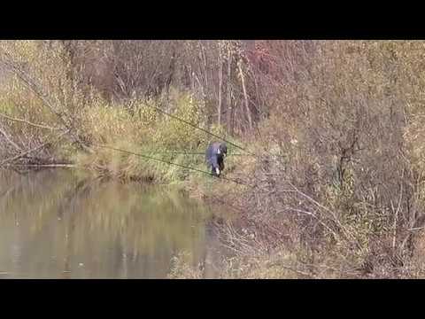 Видео: речка Ушаковка