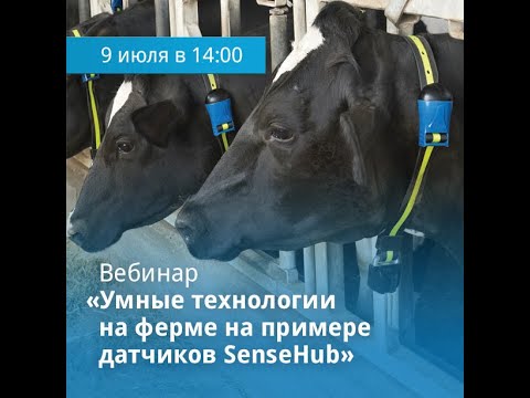 Видео: Вебинар "Умные технологии на ферме на примере датчиков SenseHub"