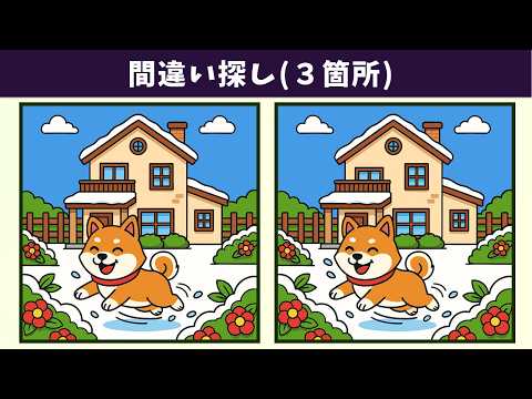 Видео: Найдите 3 отличия | Иллюстрация Версия #2054