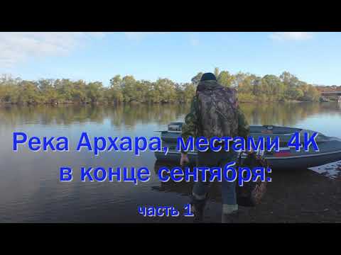Видео: река Архара, река Салокачи в конце сентября 2020 часть 1.