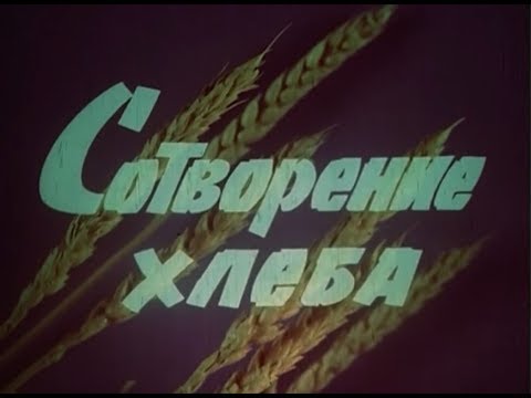 Видео: Сотворение ХЛЕБА. Системы земледелия и оптимальные нормы высева семян.