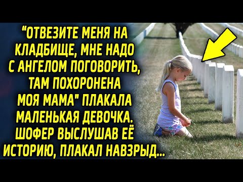 Видео: Отвезите меня на то место, меня там ждет серьезный разговор, произнесла…