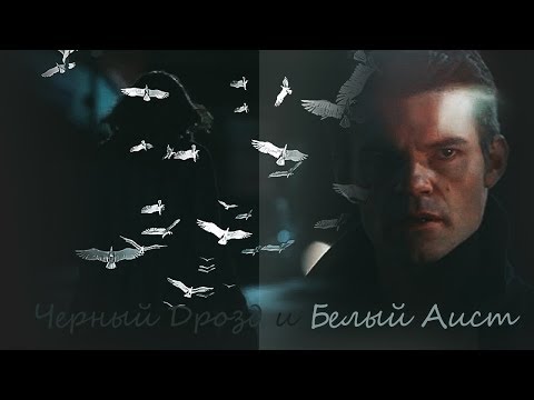 Видео: {AU} Elijah & Hayley ►Черный Дрозд и Белый Аист {+300}